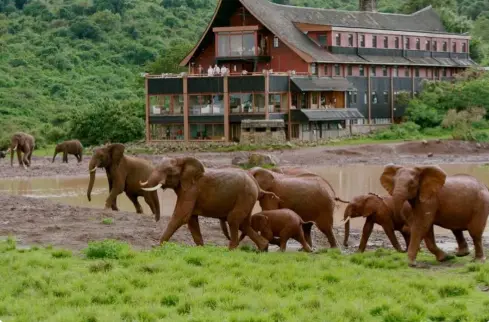 aberdare national park in kenya