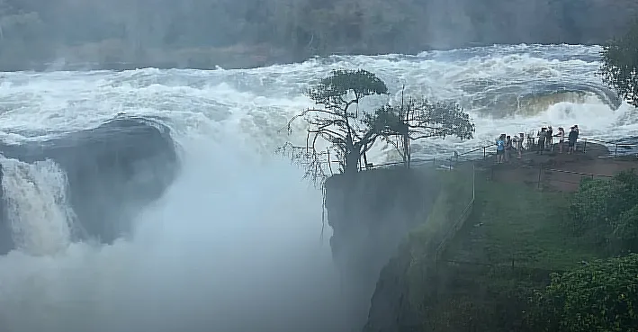 murchisson falls views