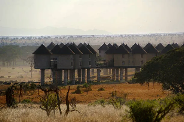 tsavo saltlick safari lodge