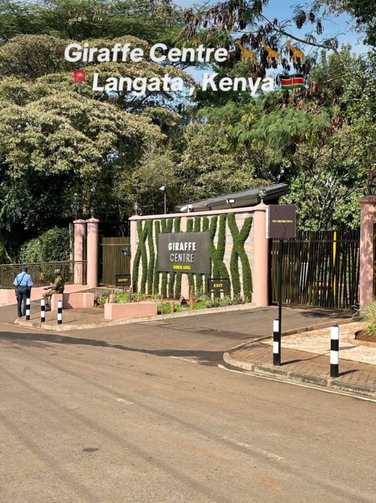 girrafe center langata