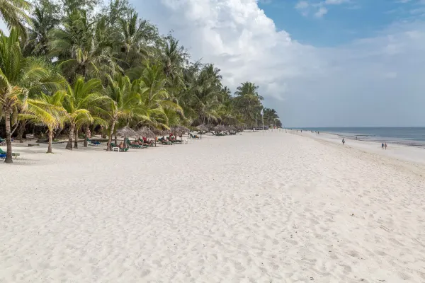 image 2025 08 31 063610315