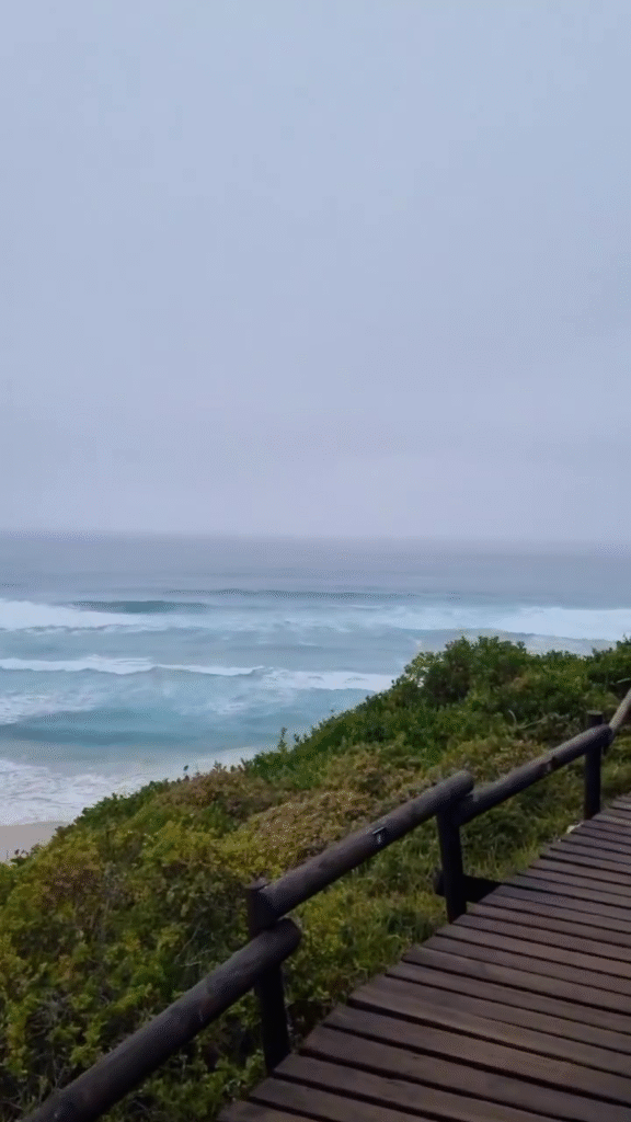 plettenbay south africa